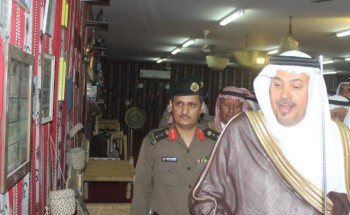 متحف مهرجان حجر يستهوي محبي الاثار ويُدهش الزوار