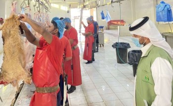 للتحقق من وجود الاشتراطات الصحية.. «البيئة» تنفذ جولات رقابية مكثفة على المسالخ بمحافظة رفحاء