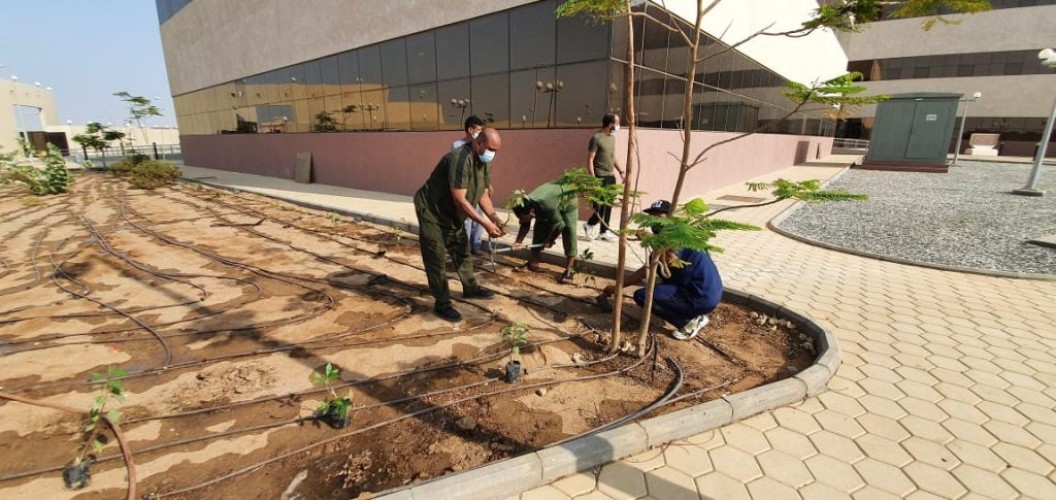 التقنية الرقمية للبنات بجدة تطلق مبادرة اليوم الوطني