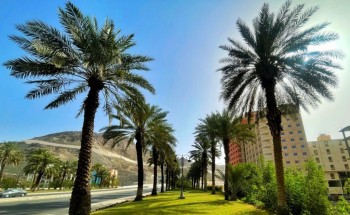 أهالي العاصمة المقدسة وزوارها يقضون أجمل الأوقات في الحدائق العامة أهالي العاصمة المقدسة وزوارها يقضون أجمل الأوقات في الحدائق العامة