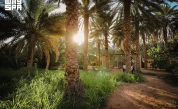 الهيئة الملكية للعُلا تطلق موسم «خيرات العُلا» الزراعي 2026-2027 الهيئة الملكية للعُلا تطلق موسم «خيرات العُلا» الزراعي 2026-2027