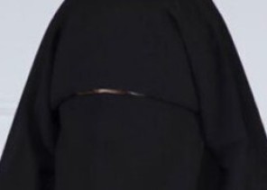 ( فن الذوق الراقي ) ( فن الذوق الراقي )