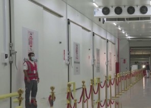 بالفيديو: تجهيز المستودعات المبردة في مطار الملك خالد لاستقبال لقاح كورونا للمملكة بالفيديو: تجهيز المستودعات المبردة في مطار الملك خالد لاستقبال لقاح كورونا للمملكة