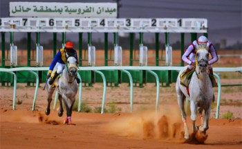 فروسية حائل تقيم حفل سباقها الثامن.. اليوم