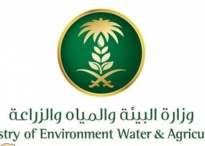 الشلاش مديرا لمكتب حائل والناصر لمكتب محافظة الشنان والجربوع لوحدة جبة الشلاش مديرا لمكتب حائل والناصر لمكتب محافظة الشنان والجربوع لوحدة جبة