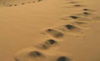 اختفاء مُسن في ظروف غامضة بعد خروجه من شقراء باتجاه الرياض.. والجهات الأمنية تعثر على سيارته