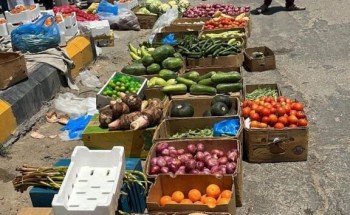 بلدية القطيف : حملة مكثفة على الباعة الجائلين تسفر عن مصادرة ٣٠٠ كجم خضروات وفواكه