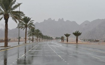 الأرصاد تنبه: أمطار رعدية ونشاط في الرياح السطحية تسبب في تدنِ مدى الرؤية الأفقية على منطقة حائل