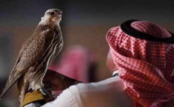 أغرب أسماء الصقور المشاركة بمهرجان الملك عبدالعزيز