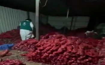 شاهد .. التجارة تضبط عمالة وافدة تقوم ببيع معقمات مغشوشة على أحد المواقع الإلكترونية شاهد .. التجارة تضبط عمالة وافدة تقوم ببيع معقمات مغشوشة على أحد المواقع الإلكترونية
