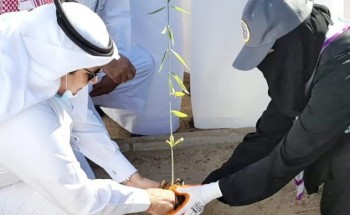 بهدف تحسين المشهد البصري والإهتمام بالبيئة من خلال تكثيف أعمال التشجير بالعاصمة المقدسة بهدف تحسين المشهد البصري والإهتمام بالبيئة من خلال تكثيف أعمال التشجير بالعاصمة المقدسة
