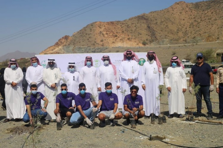 بيئة الطائف تزرع السلم والسيال والطلح في جبال الهدا