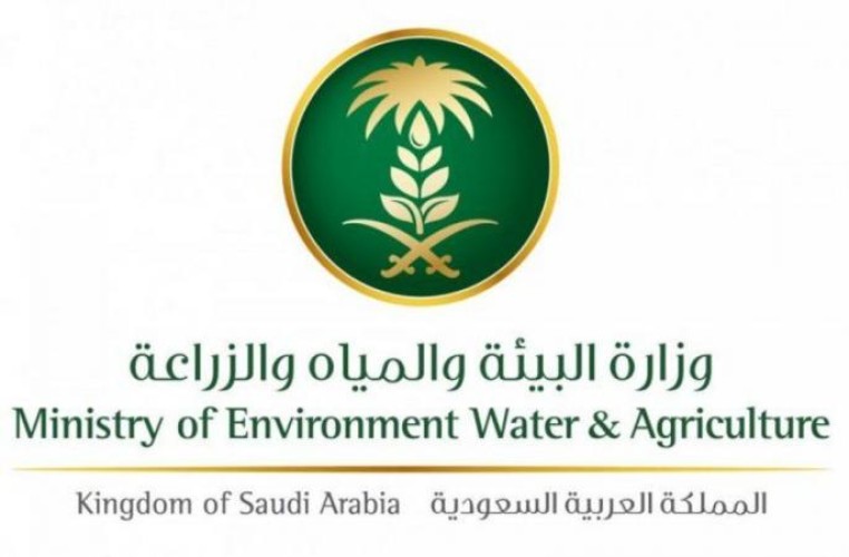 “البيئة” تطلق خدمتي إذن الدخول والخروج للهجن المشاركة في المسابقات والمهرجانات عبر “أنعام بلس”