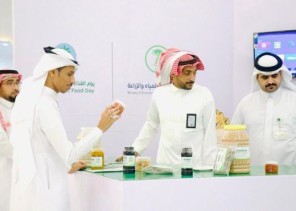 بيئة الحدود الشمالية تنظم فعاليات بمناسبة يوم الغذاء العضوي بعرعر بيئة الحدود الشمالية تنظم فعاليات بمناسبة يوم الغذاء العضوي بعرعر
