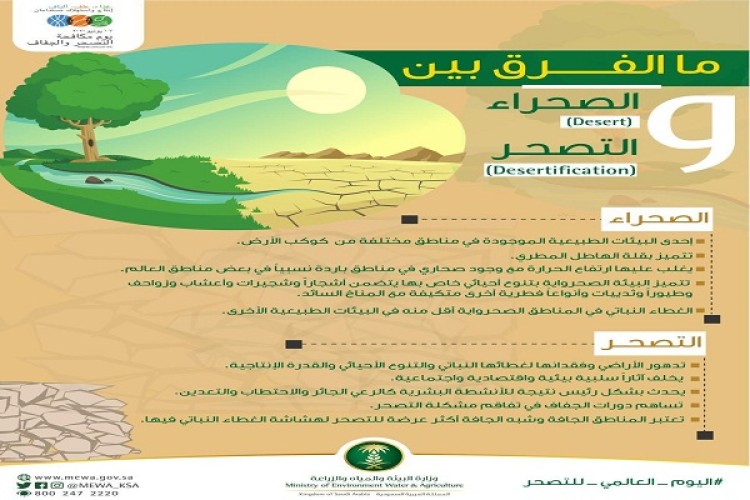 “البيئة” تحتفي باليوم العالمي للتصحر.. وتعزز تنمية الغطاء النباتي بالمملكة