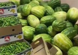 بالفيديو .. أمانة نجران تضبط يكن عمالة يُستخدم كمستودع لتخزين الفواكه والخضراوات بالفيديو .. أمانة نجران تضبط يكن عمالة يُستخدم كمستودع لتخزين الفواكه والخضراوات