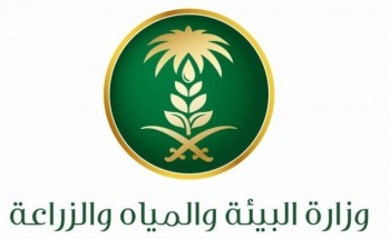 “البيئة” تدعو 135 متقدماً على وظائفها للمقابلة الشخصية ومطابقة البيانات “البيئة” تدعو 135 متقدماً على وظائفها للمقابلة الشخصية ومطابقة البيانات