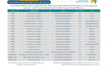 إعلان فرص وظيفية: فرع وزارة الموارد البشرية والتنمية الاجتماعية بالمنطقة الشرقية إعلان فرص وظيفية: فرع وزارة الموارد البشرية والتنمية الاجتماعية بالمنطقة الشرقية