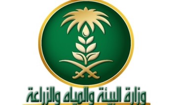 “البيئة” تتوقع استمرار نشاط الجراد الصحراوي بسبب الظروف البيئية “البيئة” تتوقع استمرار نشاط الجراد الصحراوي بسبب الظروف البيئية