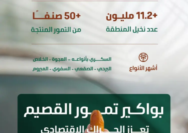 القصيم تطلق «موسم بواكير التمور» بأكثر من 50 صنفًا وإنتاج يتجاوز 390 ألف طن سنويًا القصيم تطلق «موسم بواكير التمور» بأكثر من 50 صنفًا وإنتاج يتجاوز 390 ألف طن سنويًا