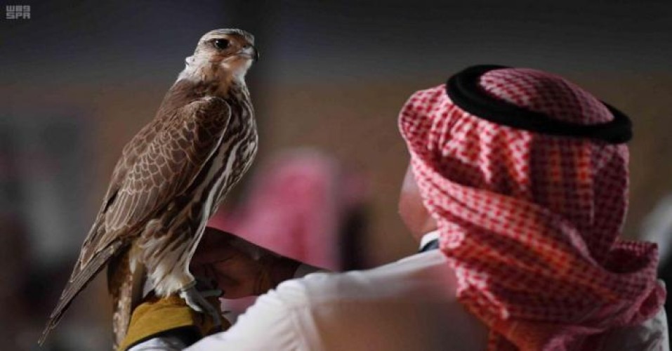 أغرب أسماء الصقور المشاركة بمهرجان الملك عبدالعزيز