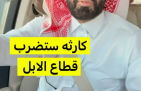 بالفيديو: الشاعر “سعد آل بريك” يحذر من التوسع في استنساخ الإبل: «كارثة على المدى البعيد»