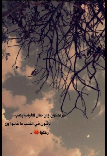 رحل عنّا ولم يرحل منّا