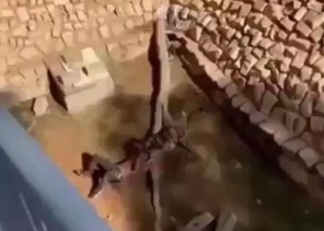 بالفيديو… الكشف عن هجوم النمر على مقيم بحديقة الحيوان بالملز بالفيديو… الكشف عن هجوم النمر على مقيم بحديقة الحيوان بالملز