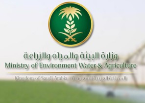 للرجال والنساء.. 75 وظيفة شاعرة بوزارة البيئة