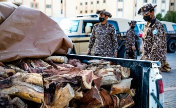 القوات الخاصة للأمن البيئي تضبط أكثر من 9 أطنان من الحطب المحلي المعد للبيع في الرياض القوات الخاصة للأمن البيئي تضبط أكثر من 9 أطنان من الحطب المحلي المعد للبيع في الرياض