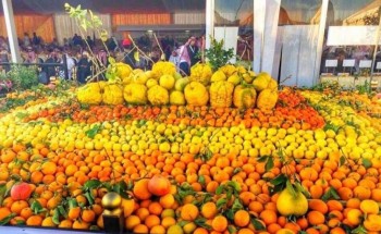 العجيان: مهرجان الحمضيات بمحافظة الحريق يستعد لاستقبال طلبات المشاركين العجيان: مهرجان الحمضيات بمحافظة الحريق يستعد لاستقبال طلبات المشاركين