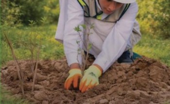 الشؤون الإسلامية في جازان تشارك في اليوم العالمي لمكافحة التصحر 2026م الشؤون الإسلامية في جازان تشارك في اليوم العالمي لمكافحة التصحر 2026م