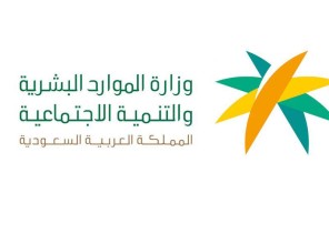 أول تعليق من الموارد البشرية على عطل موقع الضمان الإجتماعي أول تعليق من الموارد البشرية على عطل موقع الضمان الإجتماعي