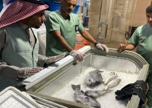 بيئة حفر الباطن تقوم بجولة تفقدية لأسواق النفع العام بحفر الباطن بيئة حفر الباطن تقوم بجولة تفقدية لأسواق النفع العام بحفر الباطن
