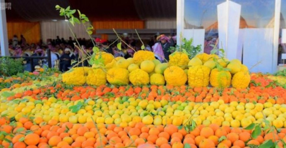 مهرجان الحمضيات الخامس بالحريق يشهد اقبال كبير من الزوار