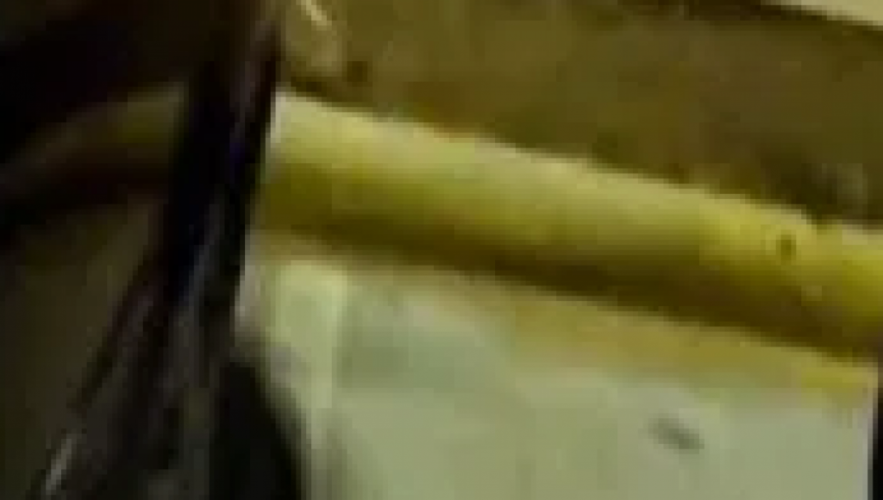 مصادر تكشف حقيقة فيديو “الكائن الغريب” بمواقف أمانة المدينة