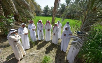 “البيئة” تقيم ندوةً علمية افتراضية ومعرضاً زراعياً بالأحساء.. وتكرِّم عدداً من المزارعين “البيئة” تقيم ندوةً علمية افتراضية ومعرضاً زراعياً بالأحساء.. وتكرِّم عدداً من المزارعين