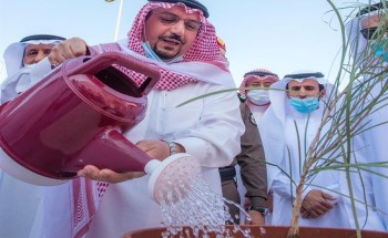 مأوى للغزلان واستزراع 100 ألف شجرة بمنتزه القصيم الوطني