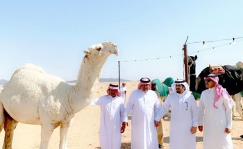محافظ ضرية يزور مزاد ضرية الرابع محافظ ضرية يزور مزاد ضرية الرابع
