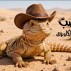 الضبّ وقبعة الكاوبوي