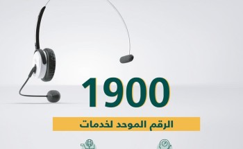 التجارة: الرقم المجاني الموحد “1900” يخدم كل عملاء الوزارة لقطاعي الأعمال والمستهلك التجارة: الرقم المجاني الموحد “1900” يخدم كل عملاء الوزارة لقطاعي الأعمال والمستهلك