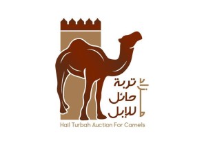 إنطلاق مزاد تربة حائل في الصياهد يوم الجمعة إنطلاق مزاد تربة حائل في الصياهد يوم الجمعة