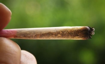 مكافحة المخدرات تحذر من تعاطي الحشيش المخدر لإحتوائه على مواد شديدة الضرر