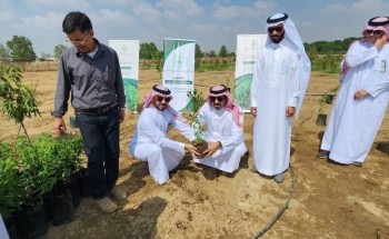 محافظ بيش يستكمل المرحلة الثانية لزراعة أشجار العود والصندل بالمحافظة محافظ بيش يستكمل المرحلة الثانية لزراعة أشجار العود والصندل بالمحافظة