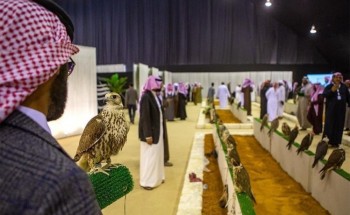 على مدى يومين .. بدء تسجيل المشاركين في مهرجان الملك عبدالعزيز للصقور بالرياض والقصيم على مدى يومين .. بدء تسجيل المشاركين في مهرجان الملك عبدالعزيز للصقور بالرياض والقصيم