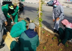 ” بلدية القريات ” : الانتهاء من زراعة ٧٩٣٥ شتلة ضمن مبادرة الجوف واحة خضراء ” بلدية القريات ” : الانتهاء من زراعة ٧٩٣٥ شتلة ضمن مبادرة الجوف واحة خضراء