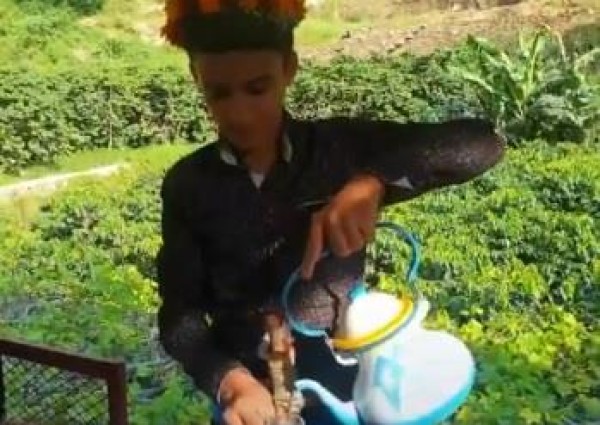 بالفيديو: مهندس زراعي يكتشف الشاي الأزرق في جبال فيفا .. ويكشف عن أهم فوائده! بالفيديو: مهندس زراعي يكتشف الشاي الأزرق في جبال فيفا .. ويكشف عن أهم فوائده!