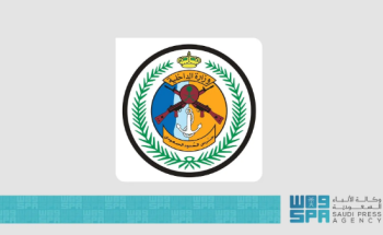 إحباط تهريب 280 كجم من «نبات القات المخدر ».. والكشف عن جنسية المهربين
