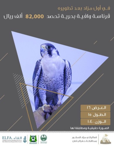 ‏في أول مزاد بعد تطويره : ” شاهين ” قرناسة وافية بحرية تحصد 82,000 ريال في ‎حفرالباطن