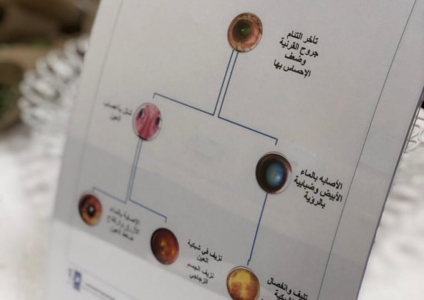 صحة الرياض” تحتفي باليوم العالمي للبصر 2020 صحة الرياض” تحتفي باليوم العالمي للبصر 2020
